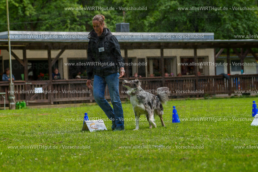 @allesWIRTHgut_Tierfotografie - www.allesWIRTHgut.de - 7R502080 | Professionelle Tierfotografie in Mönchengladbach von Daniel Wirth (allesWIRTHgut). Liebevolle & natürliche Bilder von Hunden & Katzen für unvergessliche Erinnerungen.