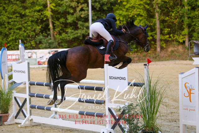 IMG_6198 | Turniersportfotografie; Pferdefotografie; Dressurfotografie