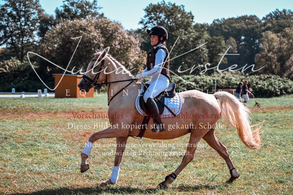 DSC_1112 | Pferde- und Turnierfotografie in Westsachsen. Pferdeportraits, Auftragszeichnungen und intuitive Kunst.