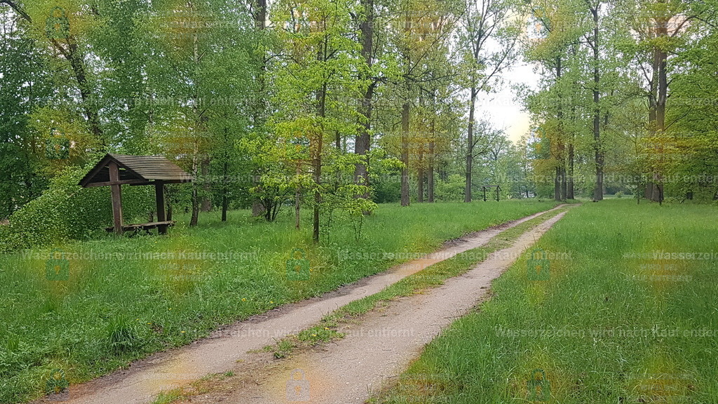20190515_155318 | Fotoseite Wolkenblende - Das Hobby fotografieren begleitet mich schon  viele  Jahre. Auf den nächsten Seiten zeige ich ein paar Schnappschüsse der letzten Jahre und es kommen immer neue hinzu. Schau einfach mal rein. - Realisiert mit Pictrs.com