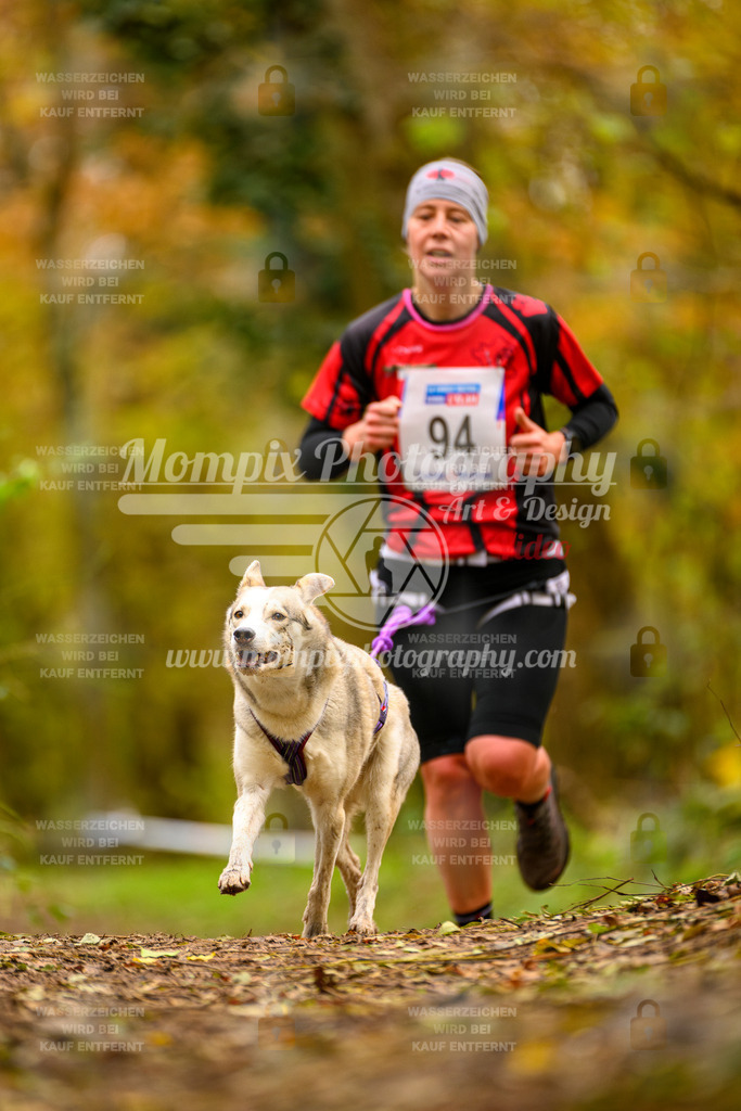 MompixPhotography_Bischwiller24_SA_Canicross-61 | PayLife