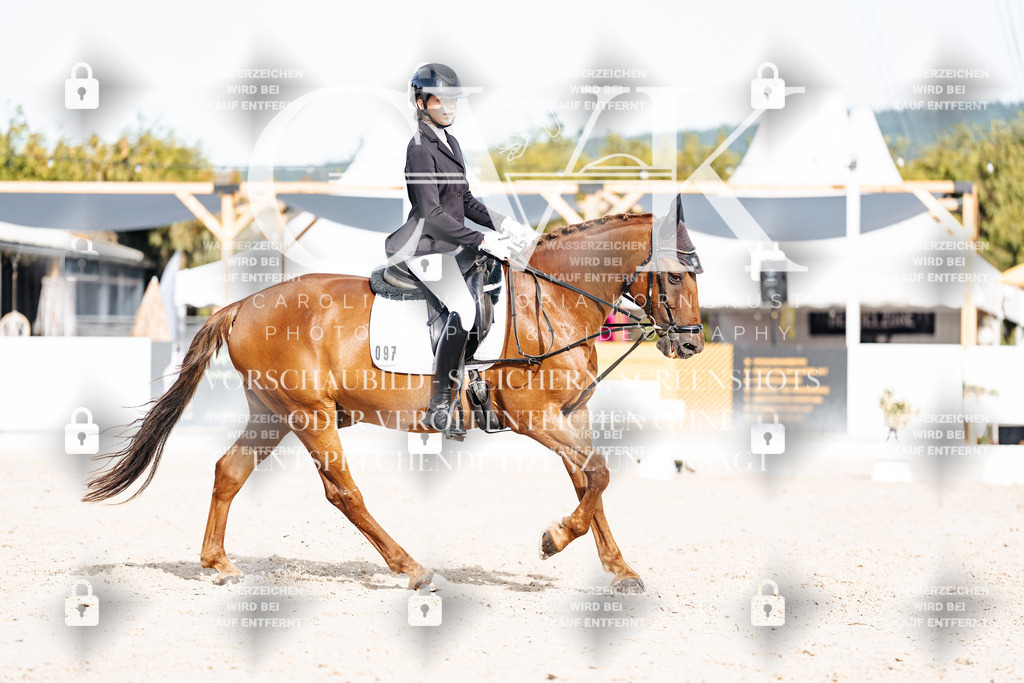 CK905169 | Turnierfotografie Pferdefotografie Trier Rheinland-Pfalz Pferdesport Reitsport Tierfotografie Sportfotografie Pferdevideo Pferdevideografie Equestrianvideography equestrianphotography  - Realisiert mit Pictrs.com