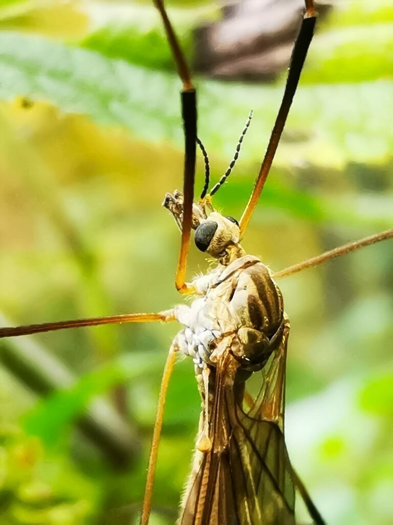 PSX_20221011_234458 | mtkfoto_ - Realisiert mit Pictrs.com