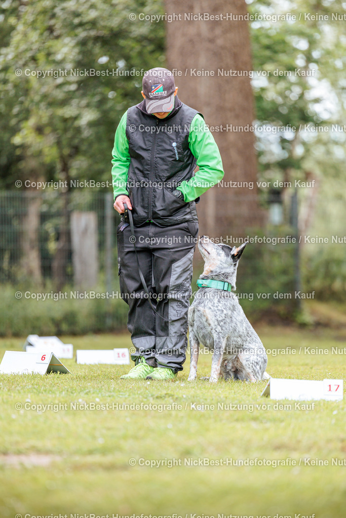 RO-Blumenthal-2026-Nickbest-Hundefotografie-5361 | Dein Hund! Dein Moment! Deine Erinnerungen! Hundefotografie in Bremen Blumenthal. Ich fange die besonderen Momente deines Vierbeiners ein – ob Indoor mit Blitzanlage oder in der freien Natur. Sicher dir dein Moment und dein Termin für eure Erinnerungen.