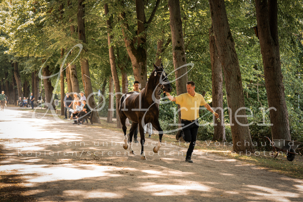 FrPfM00230 | Leoni Ertmer Photography - Realisiert mit Pictrs.com