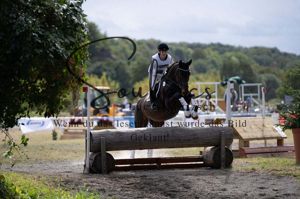 A7V01128 | Pferdefotograf