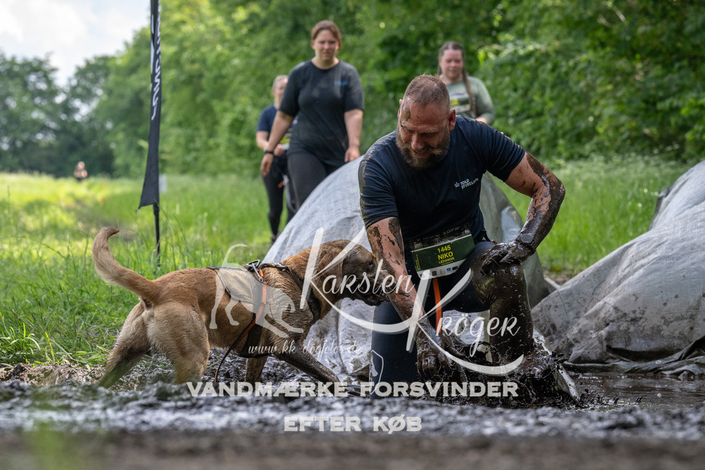 1241_ZZ93060 | kk-dogfotos