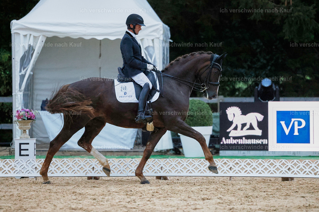 04_2-240-Dressur M__ -StoibPH-3035 | working equitationturnier fotograf videograf stoibphotography marixx film working equitation deutschland reitsport turnierfotografie eventfotografie equestrian events