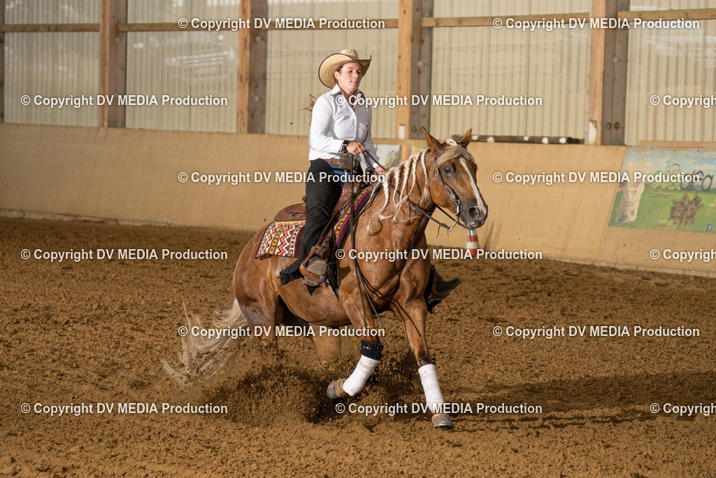 LAU00969 | dv-media-shop - Realisiert mit Pictrs.com