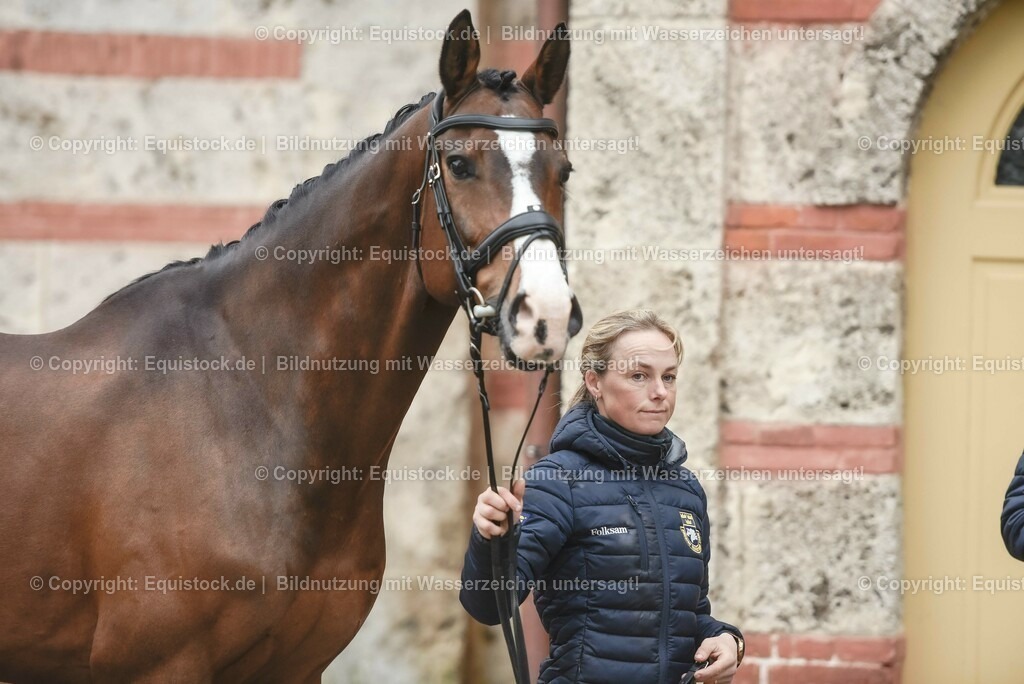 20230514_Impressionen_0154 | equistock