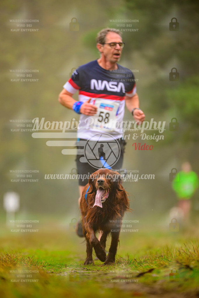 MompixPhotography_Bischwiller2025_Canicross-84 | mompixphotography