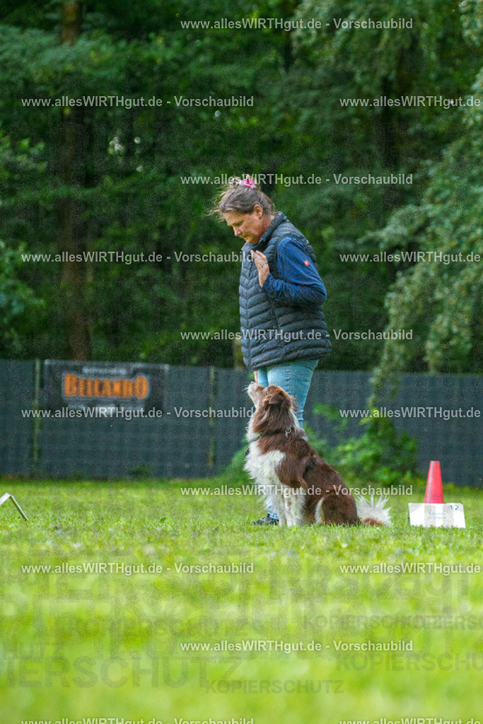 @allesWIRTHgut_Tierfotografie - www.allesWIRTHgut.de - 7R505474 | Professionelle Tierfotografie in Mönchengladbach von Daniel Wirth (allesWIRTHgut). Liebevolle & natürliche Bilder von Hunden & Katzen für unvergessliche Erinnerungen.