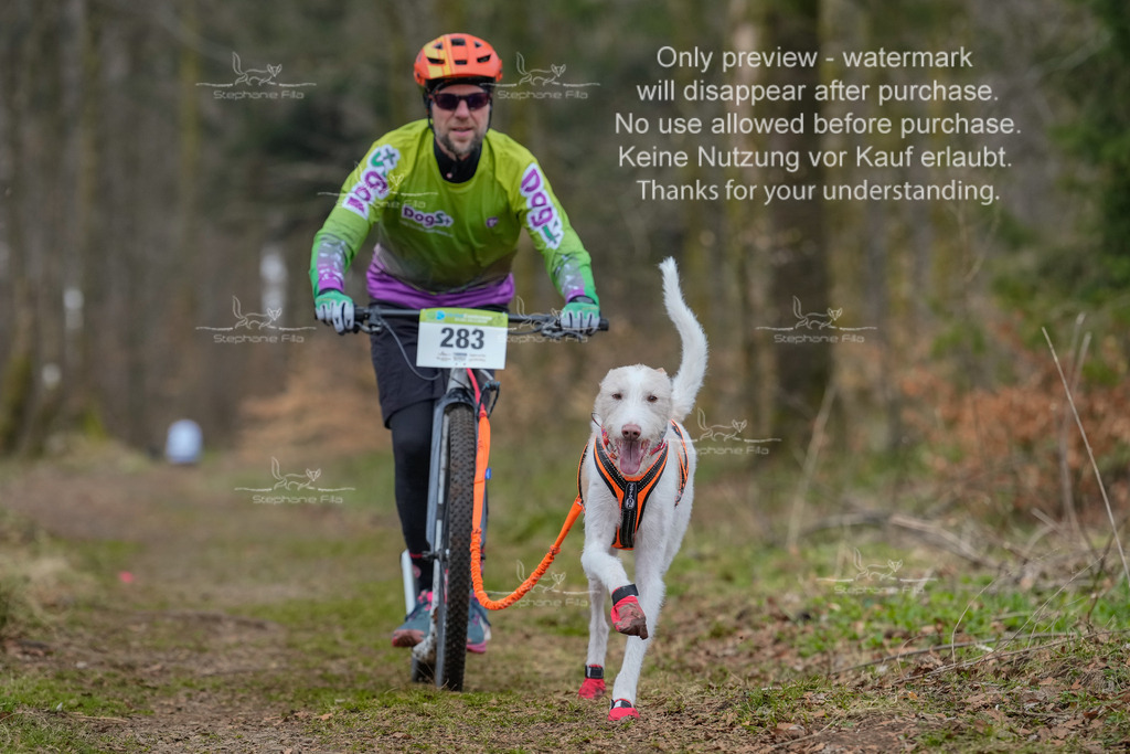 BikekurzSa-11 | stephaniefillaphotographie - Realisiert mit Pictrs.com