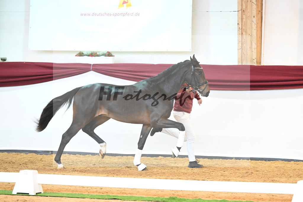 Kat-Nr. 76 v. Zackerey_Pfitzer_66221955 | hf-fotografie - Realisiert mit Pictrs.com