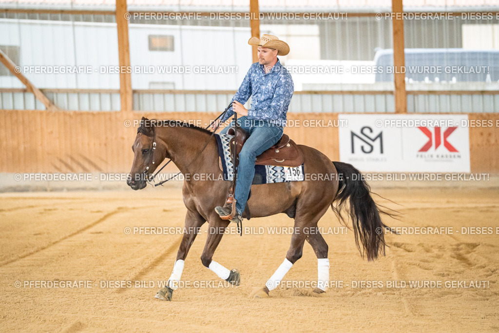 DSC08288 | Pferdegrafie