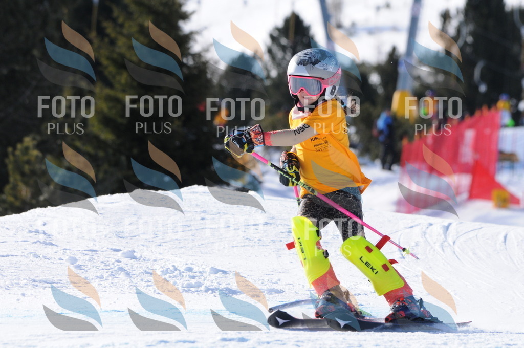 C7003 | holidayphoto