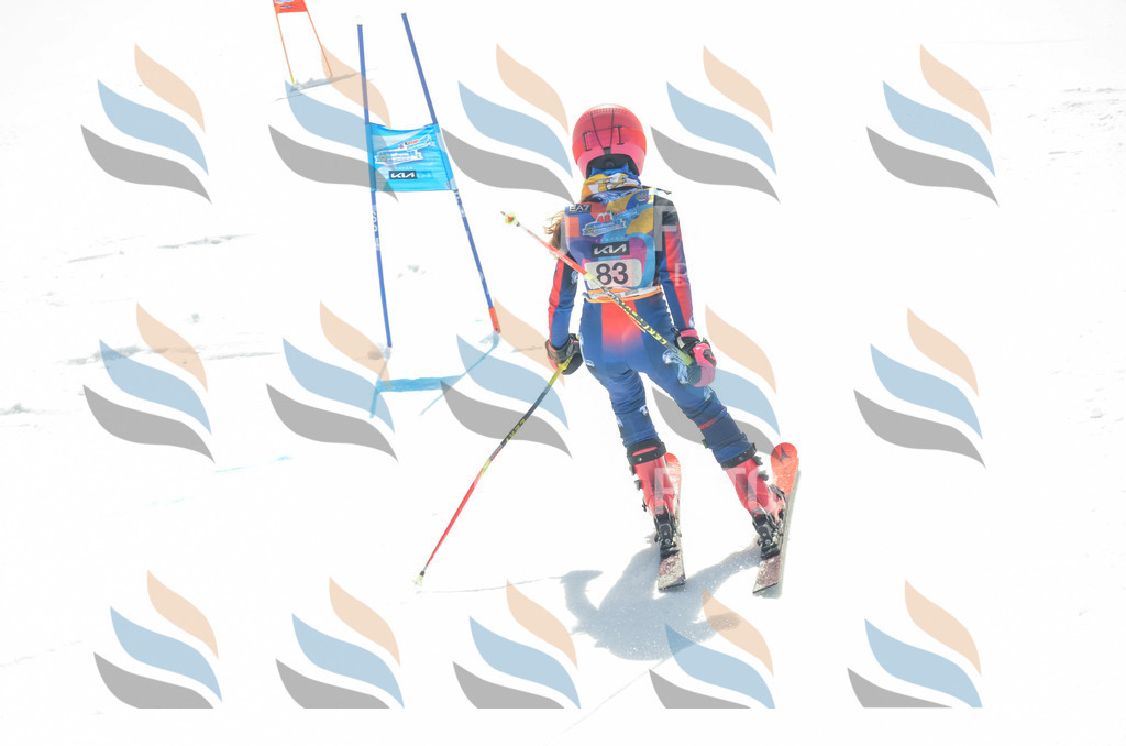 _ELE5595 | holidayphoto