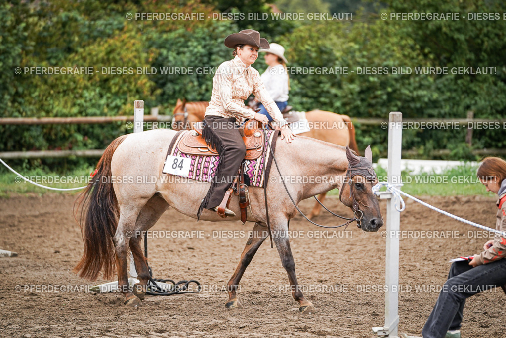 DSC03132 | Pferdegrafie