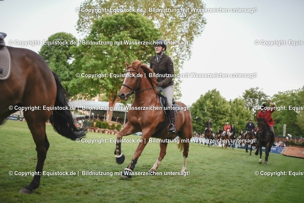 20230526_Pferdenacht_0555 | equistock