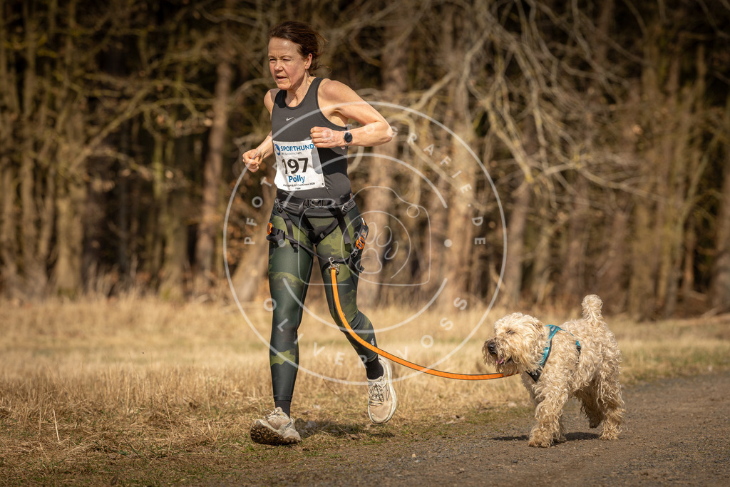 DV3A5449 | Hundefotografie, Tierfotograf, Pfotenfotografie, Fotoshooting Hund, Hunde Portrait, Hundesport, Hundeportraits, Heideshooting, Hunde, Sportfotograf, Hundefotograf, Turnierhundsport, THS,  - Realisiert mit Pictrs.com