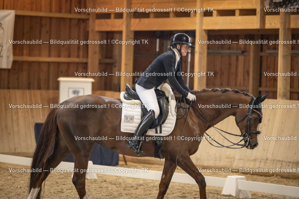 _D5A9488 | Emotionale Pferde- & People-Fotografie rund um Heidelberg, Leimen & Umgebung. Natürliche Fotos von Pferd, Mensch & Familie. Jetzt Termin sichern!