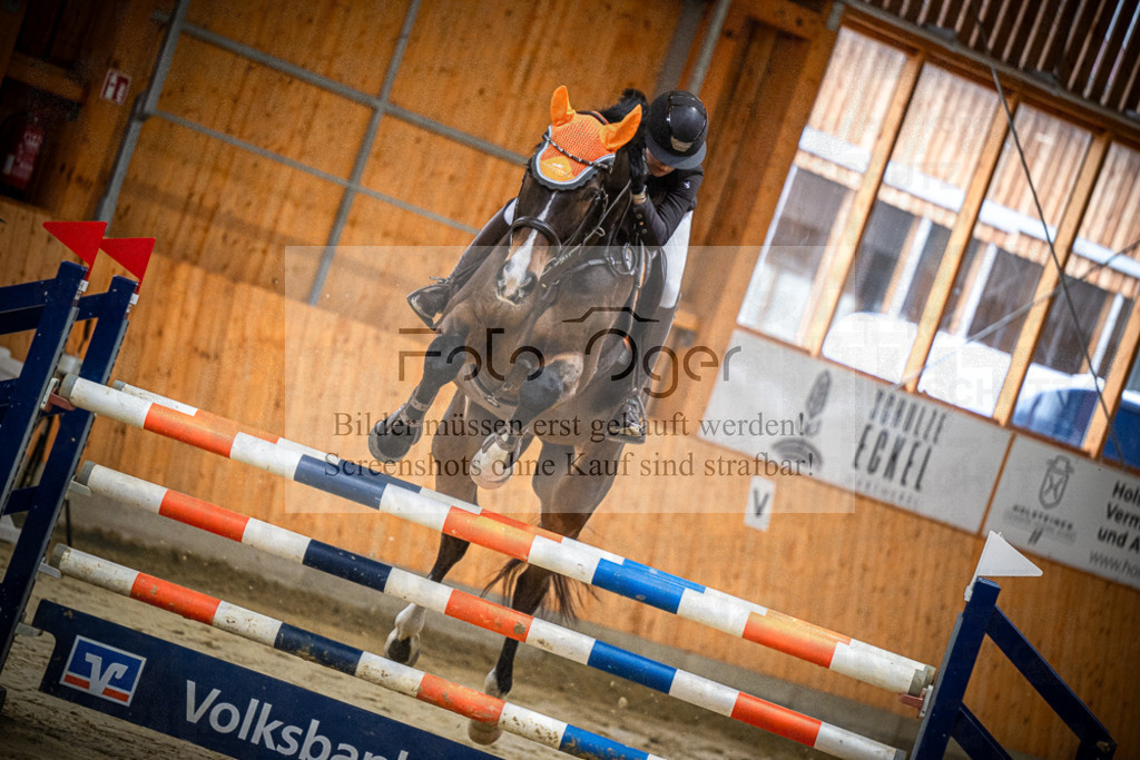 DOS_0191 | Entdecke hochwertige Reitturnierfotos von Foto Oger. Professionell, emotional und authentisch – jetzt Lieblingsmomente im Shop bestellen.Deutschlandweite Turnierfotografie. - Realisiert mit Pictrs.com