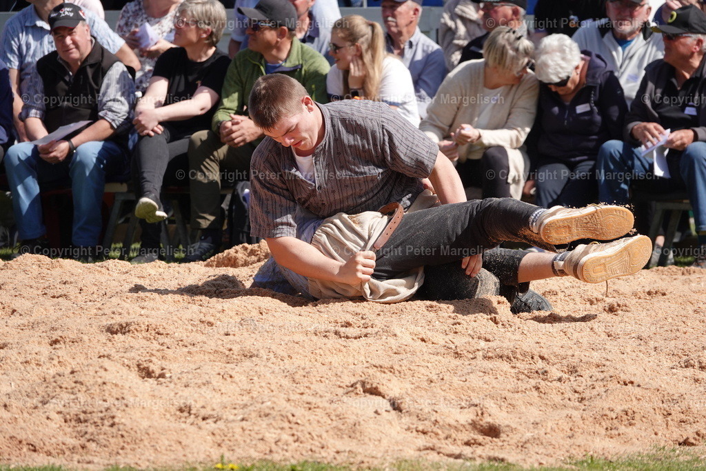 DSC02302 | Schwingen - Realisiert mit Pictrs.com