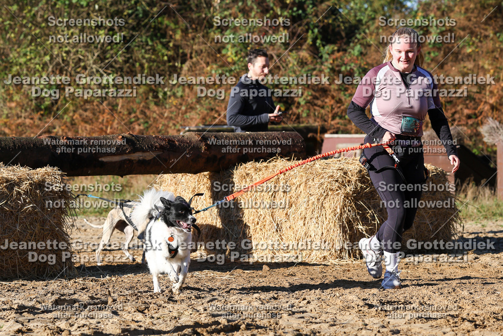 Dog Paparazzi - Strongdog 10-25-1495 | Dog Paparazzi Jeanette Grottendiek Fotografie & Videografie - Realisiert mit Pictrs.com