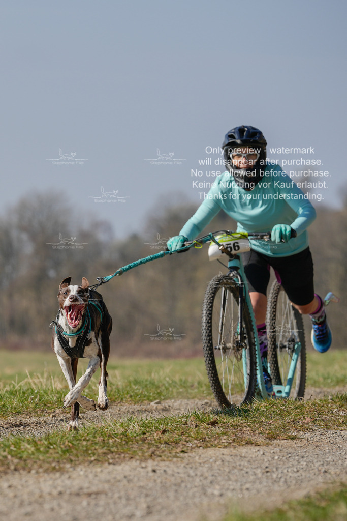 Scooter_Lang-102 | stephaniefillaphotographie - Realisiert mit Pictrs.com
