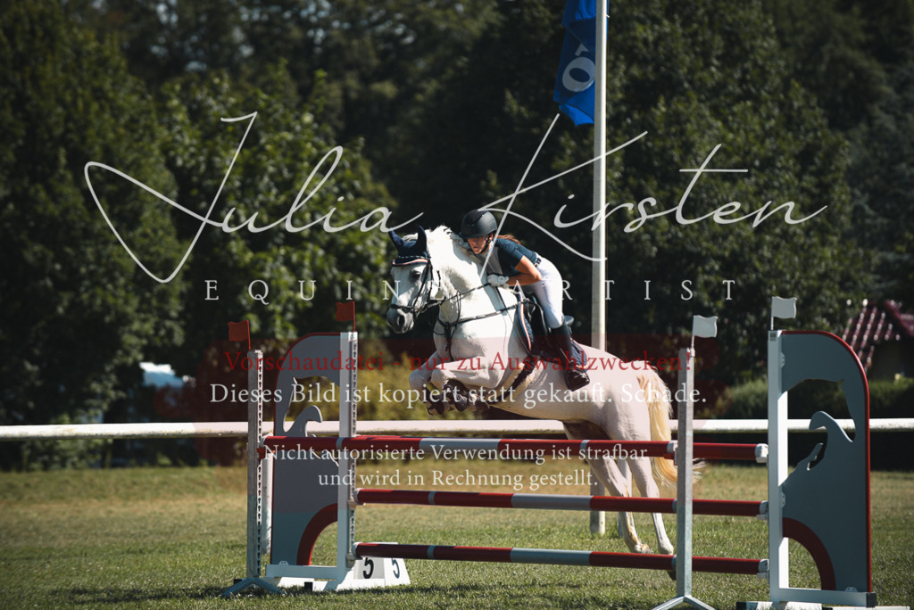 DSC_7269 | Pferde- und Turnierfotografie in Westsachsen. Pferdeportraits, Auftragszeichnungen und intuitive Kunst.