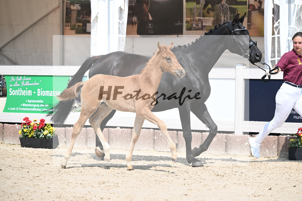 Viva Vegas x Top Gear_HF_Leder_12250457 | hf-fotografie - Realisiert mit Pictrs.com