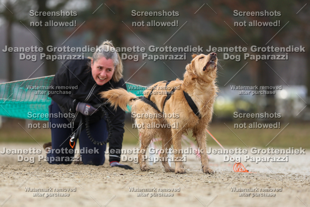 Dog Paparazzi - Strongdog North Mrz26-4514 | Dog Paparazzi Jeanette Grottendiek Fotografie & Videografie - Realisiert mit Pictrs.com