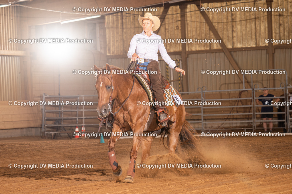 NID01187 | dv-media-shop - Realisiert mit Pictrs.com