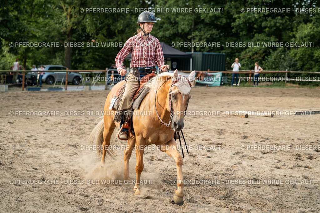 DSC06102 | Pferdegrafie