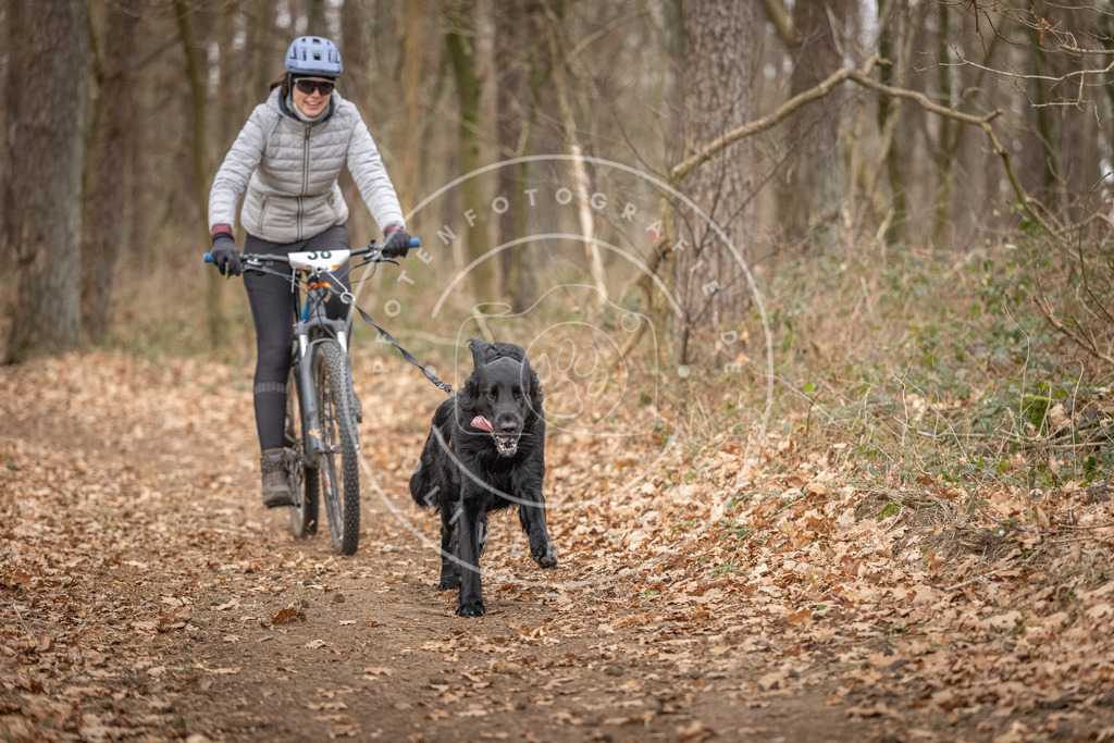 Pfotenfotografie_DV3A0265 | Hundefotografie, Tierfotograf, Pfotenfotografie, Fotoshooting Hund, Hunde Portrait, Hundesport, Hundeportraits, Heideshooting, Hunde, Sportfotograf, Hundefotograf, Turnierhundsport, THS,  - Realisiert mit Pictrs.com