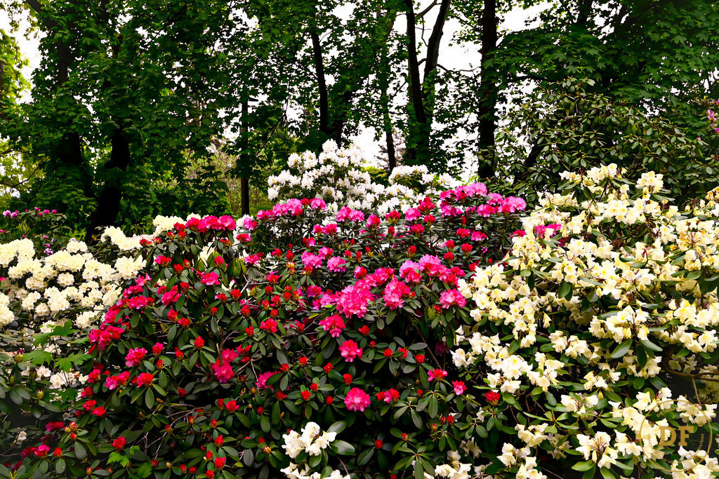 14_DSC8248 | Geschenke, Wandbilder und Accessoires mit Motiven aus Dresden und anderen schönen Orten zur Verschönerung Deines zu Hauses und zum verschenken gewünscht? Wähle Deine Lieblingsbild auf dem Produkt Deiner Wahl. 
