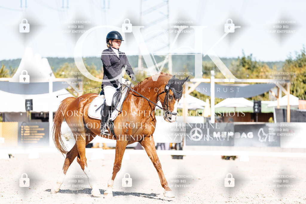 CK908838 | Turnierfotografie Pferdefotografie Trier Rheinland-Pfalz Pferdesport Reitsport Tierfotografie Sportfotografie Pferdevideo Pferdevideografie Equestrianvideography equestrianphotography  - Realisiert mit Pictrs.com