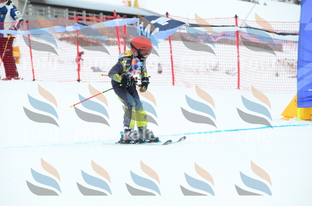 DSC_1209 | holidayphoto