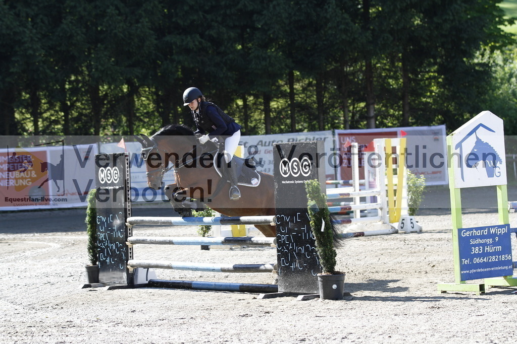 _MG_1334 | equestrian-live-com