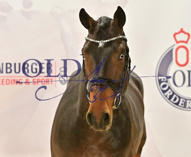 25 DE418180096920 HM Lord Pezi - Ustinov - Contender_a | <meta name="description" content="★Offizieller Merchandise und Foto-/Videostore des Oldenburger Verbandes.★ ✅Jetzt auch digital Ausdrucke erhältlich." />
<meta name="keywords" content="Merchandise Foto-/Videostore Oldenburger Verband Photographie 