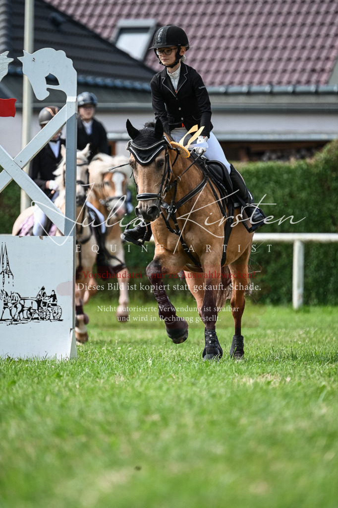 DSC_8689 | Pferde- und Turnierfotografie in Westsachsen. Pferdeportraits, Auftragszeichnungen und intuitive Kunst.