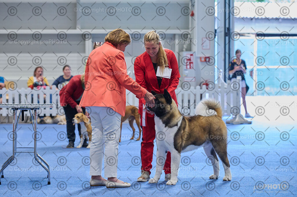 202406_ÖKV-IHA-Tulln24_DSC_5337 | proPHOTO - Realisiert mit Pictrs.com