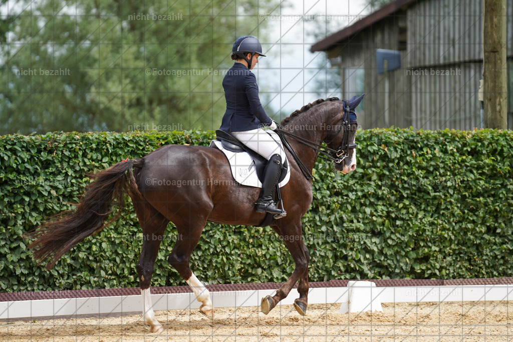 20240630-FAH02184 | Turnierbilder Schwabmünchen, Dressurbilder, Springreitturnier, Reitsportbilder, Turnierfotografen Bayern, Turnierfotograf