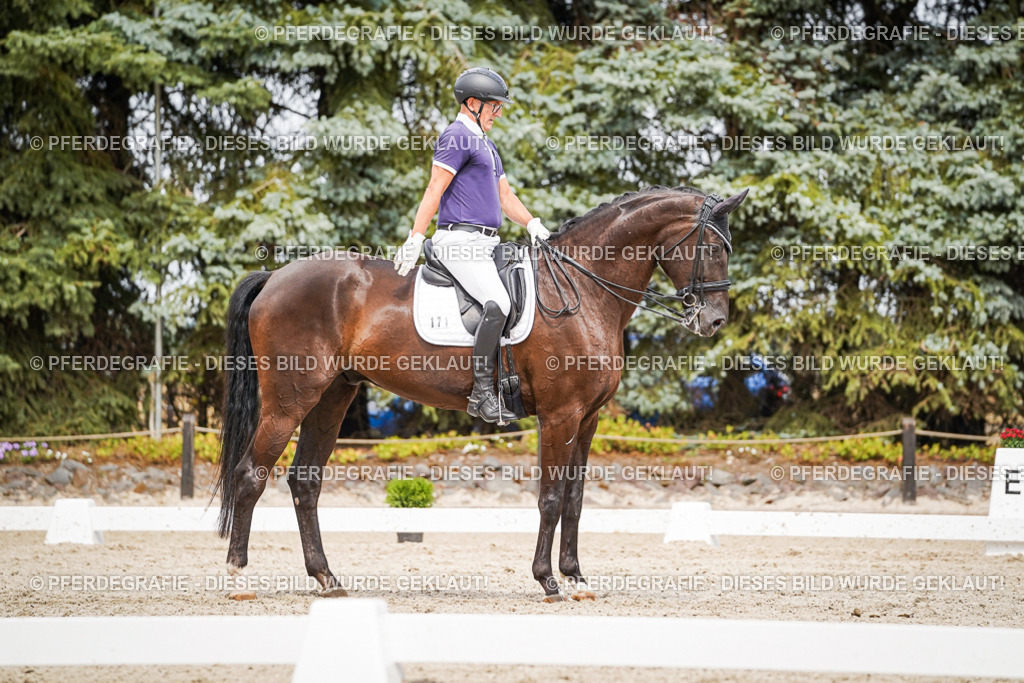 DSC06196 | Pferdegrafie