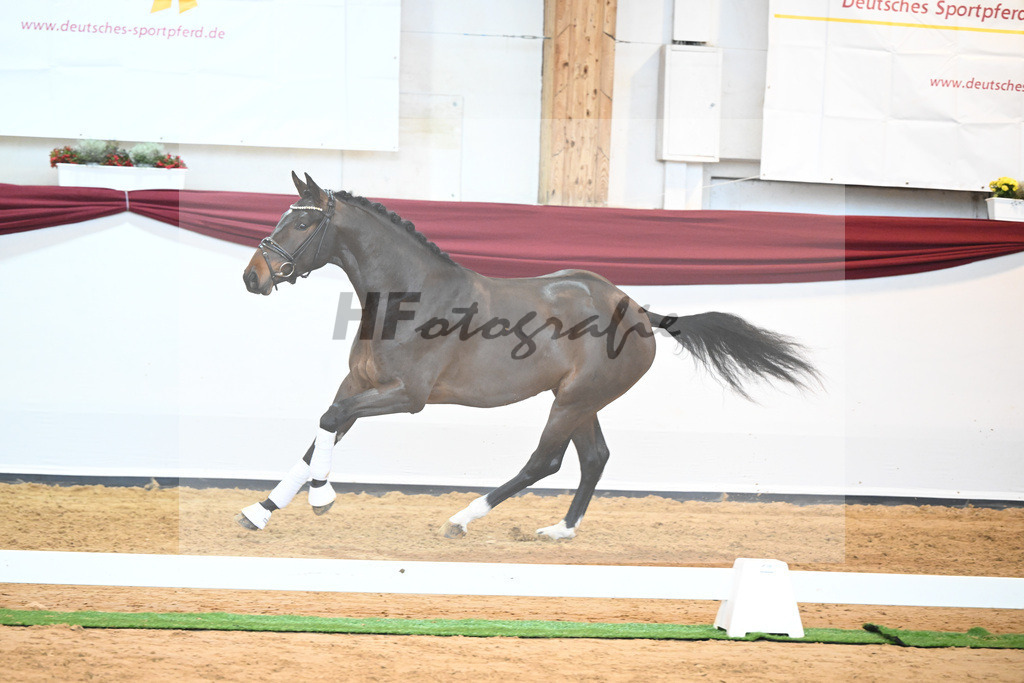 Kat-Nr. 43 v. Mykonos_Sommer_66220953 | hf-fotografie - Realisiert mit Pictrs.com