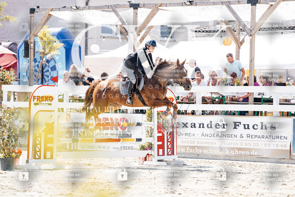 CK909212 | Turnierfotografie Pferdefotografie Trier Rheinland-Pfalz Pferdesport Reitsport Tierfotografie Sportfotografie Pferdevideo Pferdevideografie Equestrianvideography equestrianphotography  - Realisiert mit Pictrs.com