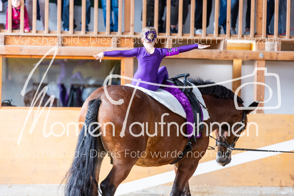 SS-Mini-256 | MomenTaufnahmen Pferdesportfotos