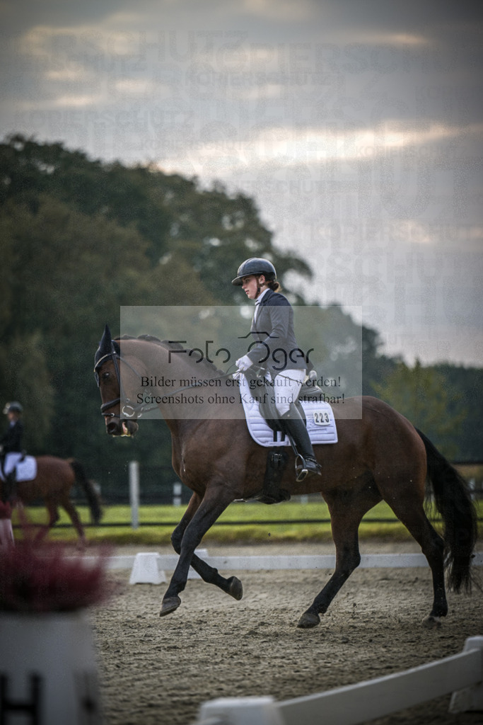 DOS_1566 | Entdecke hochwertige Reitturnierfotos von Foto Oger. Professionell, emotional und authentisch – jetzt Lieblingsmomente im Shop bestellen.Deutschlandweite Turnierfotografie. - Realisiert mit Pictrs.com