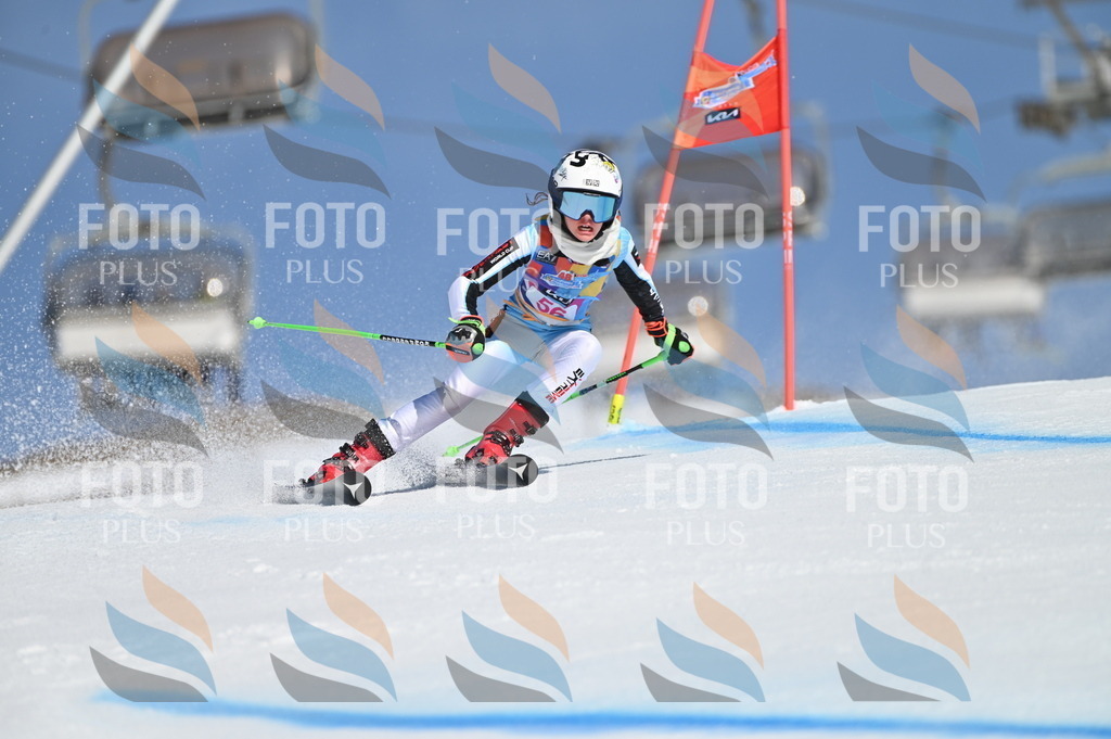 BGV_8639 | holidayphoto