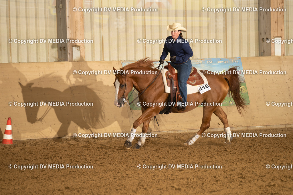 LAU00433 | dv-media-shop - Realisiert mit Pictrs.com